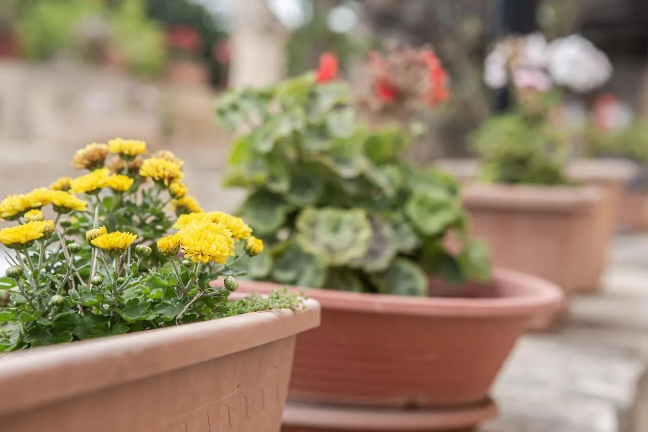 Bed and Breakfast Ta' Bertu Host Family Bed & Breakfast à Ħal Far Malte