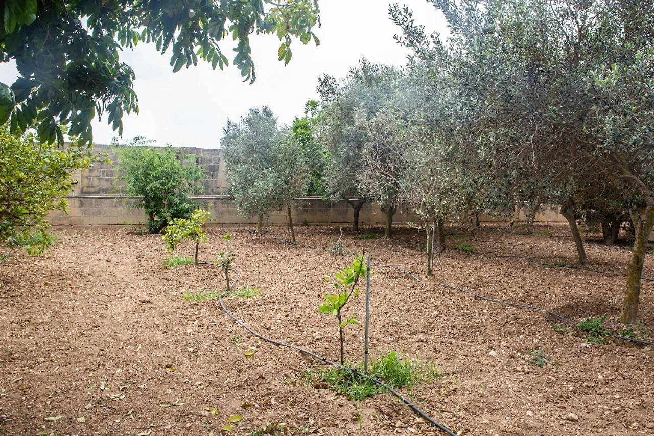 Bed and Breakfast Ta' Bertu Host Family Bed & Breakfast à Ħal Far