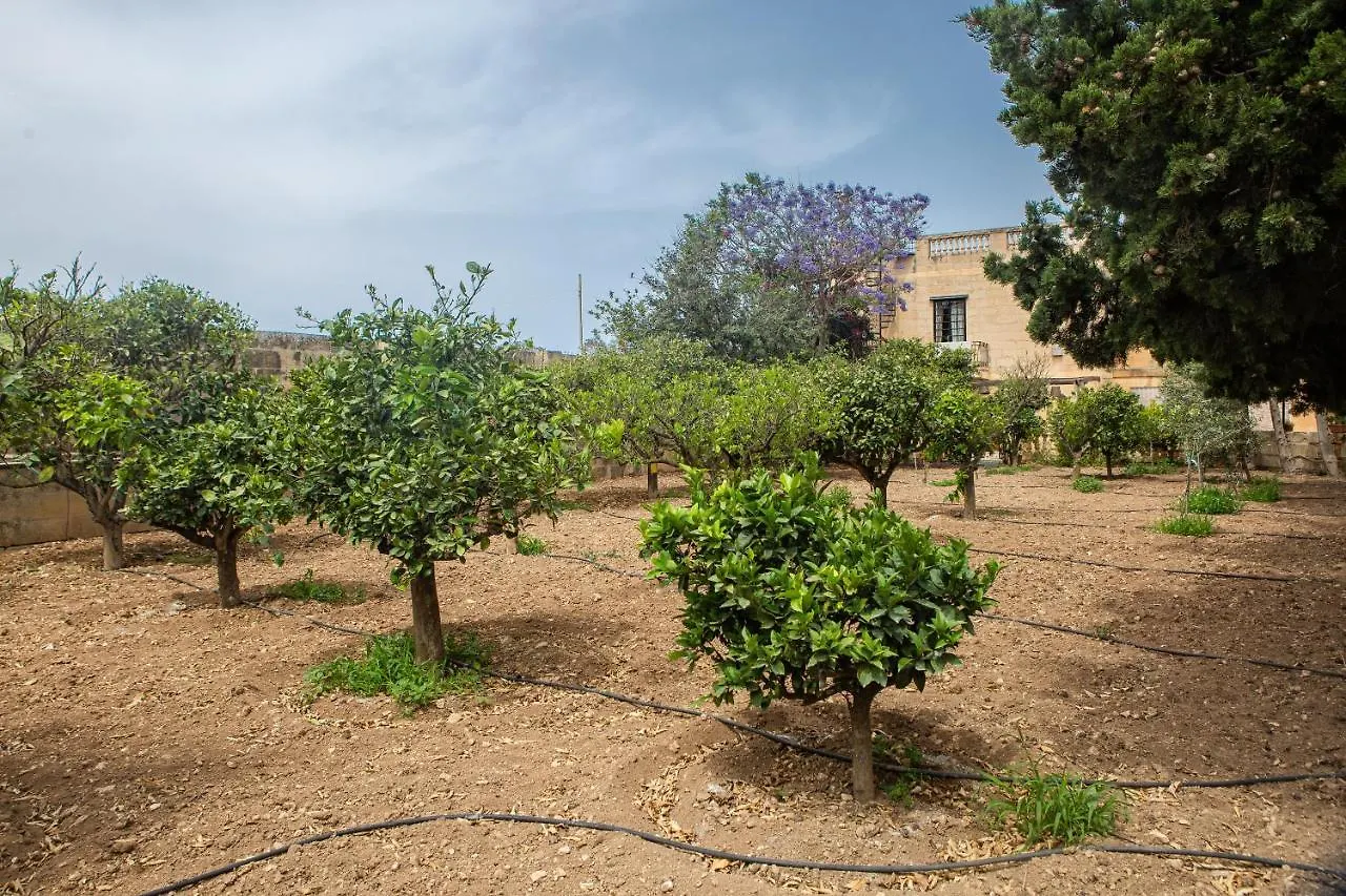 Bed and Breakfast Ta' Bertu Host Family Bed & Breakfast à Ħal Far
