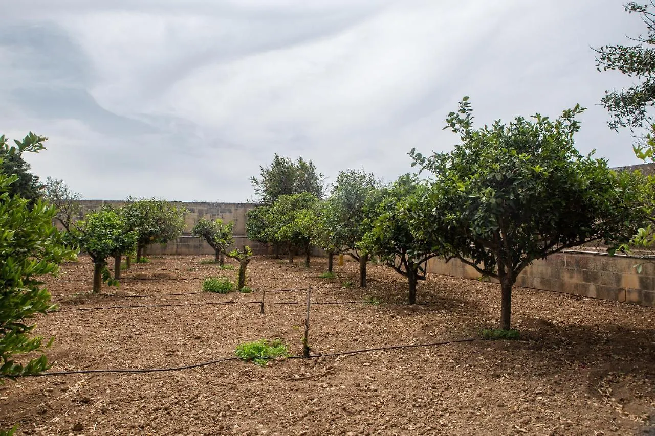 Ta' Bertu Host Family Bed & Breakfast Hal Far