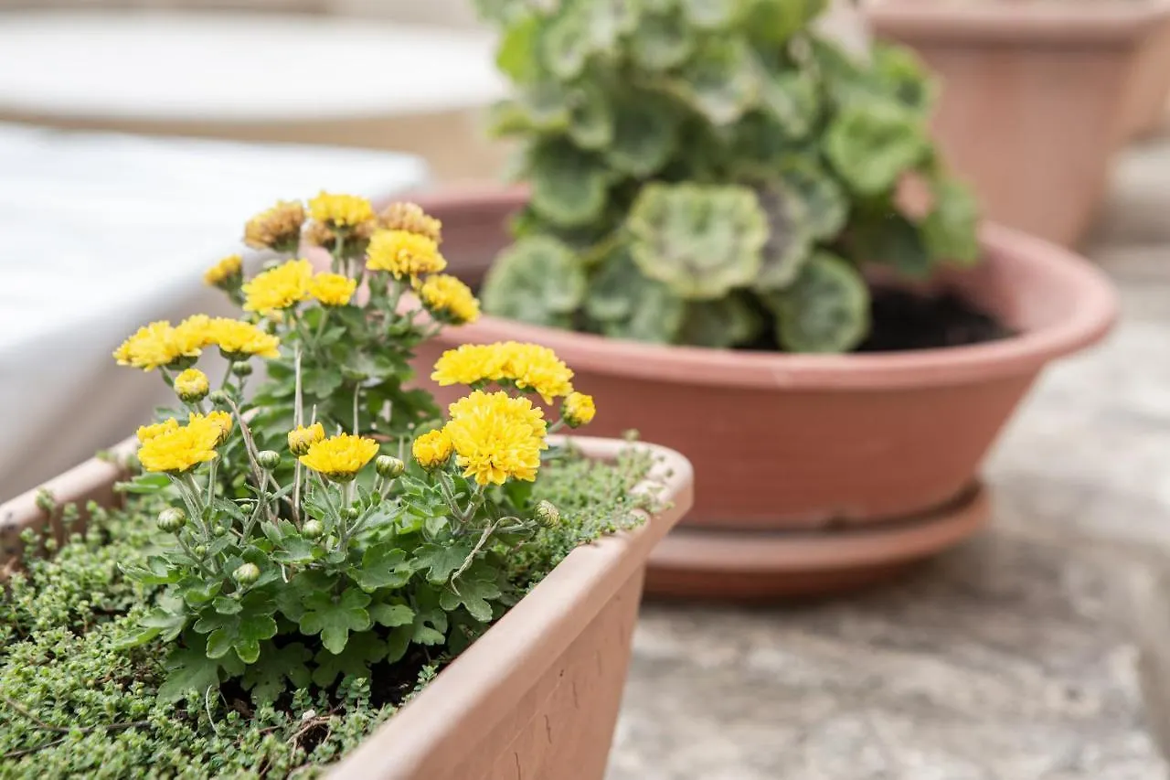 Bed and Breakfast Ta' Bertu Host Family Bed & Breakfast à Ħal Far