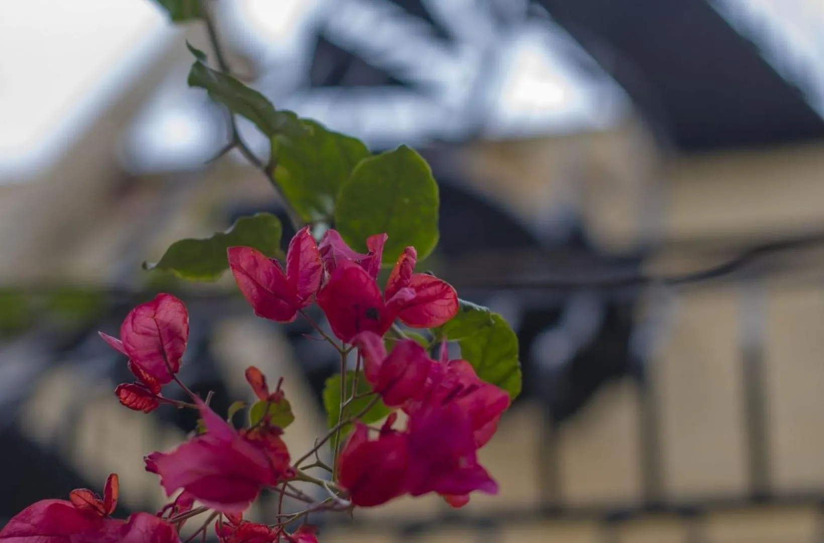 Bed and Breakfast Ta' Bertu Host Family Bed & Breakfast à Ħal Far 2*,  Malte