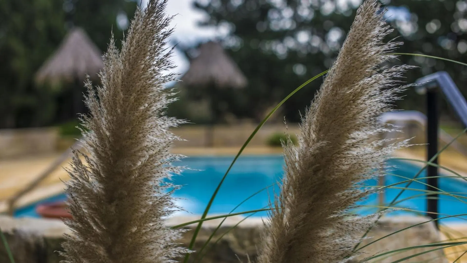 Ta' Bertu Host Family Bed & Breakfast Ħal Far